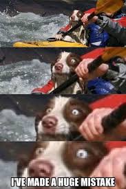 Apr 23, 2015 · rafting memes raft kid memes raftaar memes raft wars memes minecraft memes white water rafting memes river rafting memes funny rafting memes world of warcraft memes pewdiepie minecraft memes please note that this site uses cookies to personalise content and adverts, to provide social media features, and to analyse web traffic. I Knew I Should Have Stayed And Guarded The Hotdogs I Has A Hotdog Dog Pictures Funny Pictures Of Dogs Dog Memes Puppy Pictures Doge