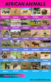 It will tell you about the habitats, diet and behaviour of different african animals sucha s. African Animals Top 35 Animals In Africa You Ve Never Heard Before Visual Dictionary