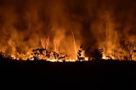 Noticias de incendios activos en el mundo. En 2020 Ya Se Han Registrado 1 039 Puntos De Calor En La Amazonia Medio Ambiente Vida Eltiempo Com