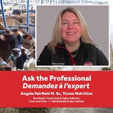 ROYAL WINTER FAIR JERSEY SHOW Lifetime Component 1. Pleasant Nook Premier  Miss Me (Premier), Pleasant Nook Jerseys 2. Marbro Premier Ezra (Premier),  Ferme Frankstyle & Ferme Karobery 3. Golden Irwin Dazzle (Irwin),