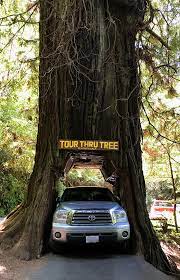 Didn't take our vehicle thru as another family was busy doing their thing and didn't leave any room for us to do much, so we parked and hiked up a trail and enjoyed the scenery. Klamath Tour Thru Tree Inspired Imperfection