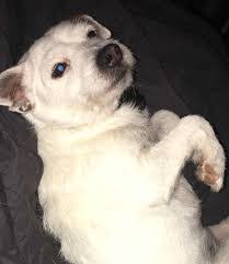 Dan Gunnells's Instagram, Twitter & Facebook