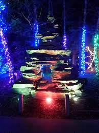 Pin On Toledo Zoo Lights