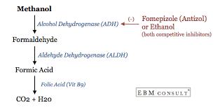 Pin On Pharmacology