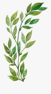 Download And Share Aesthetic Leaves Transparent Background Cartoon Seach More Similar Free Trans Watercolor Leaves Painting Art Projects Watercolor Paintings These and other pictures are absolutely free, so you can use them for any purpose, such as education or entertainment.