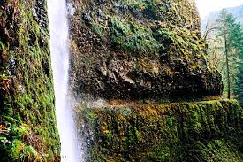 You'll still have the benefit of being able to enjoy all of the city's attractions and facilities while being immersed in the great outdoors. 12 Top Rated Hiking Trails In Oregon Planetware