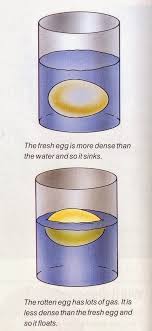 Simple Water Test For Eggs Test Eggs For Freshness