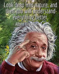 Nature Connection and Creativity — An Darach Forest Therapy