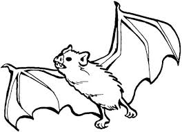 Select from 35919 printable coloring pages of cartoons, animals, nature, bible and many more. Pin On Bats