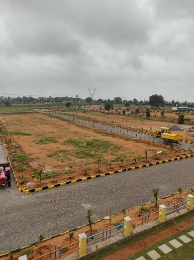 Commercial Land Layout