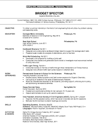 Resume For Freshmen Civil Engineering Free Resume Sample