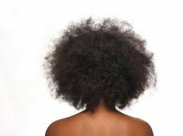 African american hair is fragile (1). Benefits Of Argan Oil For Natural Hair Hsi Professional