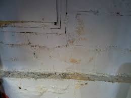 Condensation causes mold in basement high humidity plus the often cold temperatures in the basement produces a lot of condensation. Yellow Substance On Block Basement Walls Doityourself Com Community Forums