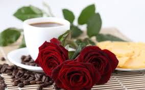 Check spelling or type a new query. Good Morning Flowers Nature Background Wallpapers On Desktop Nexus Image 1744166
