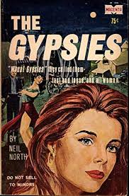Amazon.com: The Gypsies: North, Neil: 圖書