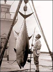 Moderátor se snažil mlžit, podle informací expresu jeho manželka lada s dětmi žije dva roky odděleně a aktuálně probíhá. Rider Of The Purple Prose Published 2006 Fishing Pictures Tuna Fishing Fishing Photos