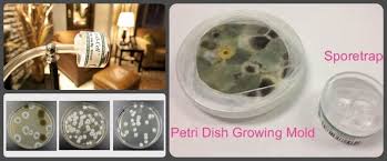 How does your factory do regarding quality control9 a: The Problems Caused By False Negative Mold Tests Mold Free Living