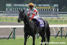 ダノンキングリー (馬主：ダノックス) ビッククインバイオ (馬主：バイオ) 【ノーザンfしがらき(西軍)】 インディチャンプ. Lpneeoyu4dev8m