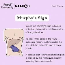 Image result for Murphy Sign