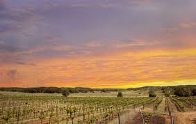 By appt only in july. The 20 Best Hill Country Wineries Austin Monthly Magazine