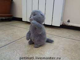 valyanyj kotyonok shotladskij vislouhij lorik zakazat na yarmarke masterov syurru vojlochnaya igrushka moskva kotenok igrushki dlya pitomcev igrushki