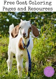 Free printable goat coloring pages for kids. Goat Coloring Pages