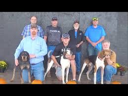 Maybe you would like to learn more about one of these? Hunting And Showing Ukc Coonhounds Treeing Walkers Black Tans Blueticks Youtube