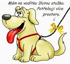 Maybe you would like to learn more about one of these? Vite Co Znamena Zluta Sluzka Na Nadacni Fond Pes V Nouzi Facebook