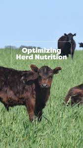 In this episode of The Beef Podcast Show, Dr. Sergio Arispe from Oregon  State University discusses the unique environmental challenges in eastern  Oregon, effective strategies for managing invasive species, and the role