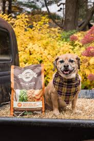 Supreme Source Dog Food Is As Real As Can Be Daily Dog Tag Dog Food Recipes Dog Food Reviews Dogs