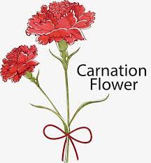 flowers retro blade retro wallpaper watercolor vector background beautiful creative decoratio carnation flower drawing flower line drawings flower illustration