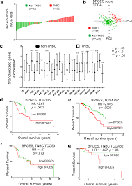Take everything out of your purse. Expression Of The Bad Pathway Is A Marker Of Triple Negative Status And Poor Outcome Scientific Reports