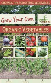 Should you start your vegetable garden from seeds or plants? Grow Your Own Organic Vegetables With Garden Organic Amazon De Apps Fur Android