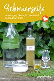 Gegen Dieses Okologische Mittel Haben Blattlause Keine Chance