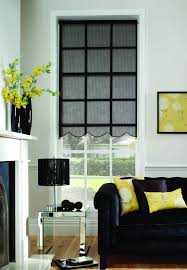 Roller Pinstripe Black Living Room Blinds Fabric Blinds House Blinds