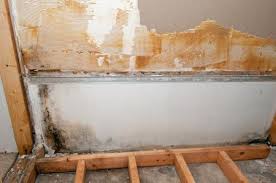 For black mold on concrete in a basement, start by ventilating the area well. Mold Remediation Basics Process And Possible Scams