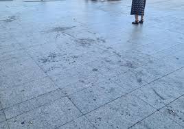 Bella onlyfans leaks In June of 2020, the model returned to