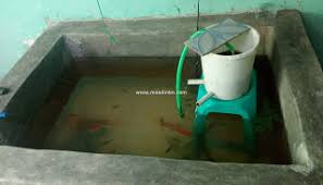 Adapun bahan baku yang digunakan untuk membuat anda dapat menemukan filter air ini di toko ikan terdekat. Cara Membuat Kolam Mini Pembesaran Ikan Nila Di Dalam Rumah Masdinko Com