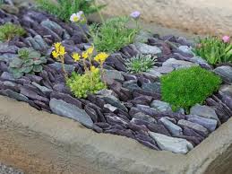 Leiklip Succulent Landscape Design Succulent Landscaping Slate Garden