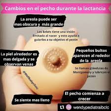 Guagua Lacta Dra Fernanda Bernal Repost Wendypediatraibclc Get Repost Repost Wellbabyclinic Durante El Embarazo El Cuerpo Sufre Un Sin Fin De Cambios Y Los