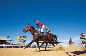 We did not find results for: A Day At The Famous Birdsville Races Reader S Digest Asia