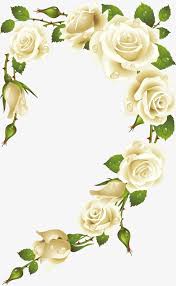 White Rose Png And Vector White Rose Png White Roses Floral Wreath