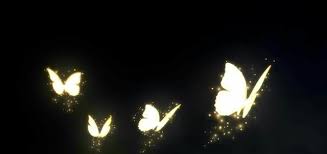 Picsart Editing Glowing Butterfly Effect Picsart Tutorial Editing Lightroom Editing Lightroom Editing Picsart Picsart Tutorial
