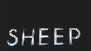 Unique, handmade, custom neon signs. White Neon Sign Sheep Macbook Air Wallpaper Download Allmacwallpaper