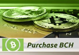 Bitcoin cash (bch) was created by a group of developers, investors, entrepreneurs, and miners who were unsatisfied with bitcoin's development. What Is Bitcoin Cash Bch Coinsbee