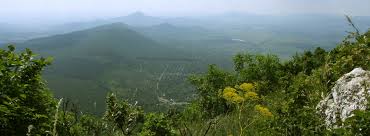 Hungary lies within the drainage basin of the danube plant and animal life. Pilis Biosphere Reserve Hungary