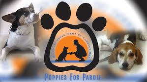 Our puppies for parole program is one of our favorite programs. Puppies For Parole Prison Program Gives Dogs Offenders Second Chance Ktvo