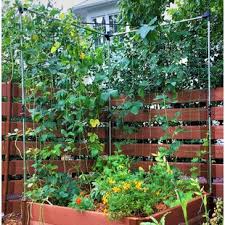 'the height of the trellis on the west boundary will not exceed 500mm and the height on the east 'given that there are many examples of timber trellises within the vicinity, the proposed works would. Trellises You Ll Love In 2021 Wayfair