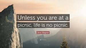 Not only are they great ways to relax and enjoy the company of family and friends, they're also an opportunity to indulge in your favorite snacks. Jane Wagner Quote Unless You Are At A Picnic Life Is No Picnic