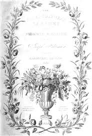 Image result for Prismatocarpus cordifolius